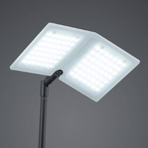 BANKAMP Book stojaca LED lampa