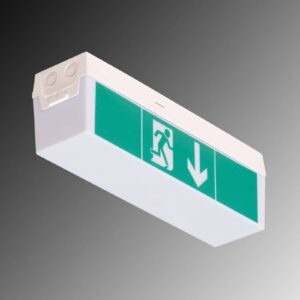 Núdzové LED svetlo C-Lux Standard