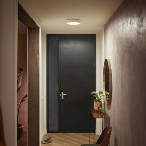 Philips Hue Enrave stropné LED svetlo 26