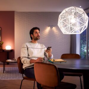 Philips Hue White Ambiance E27 LED 8W 1100lm